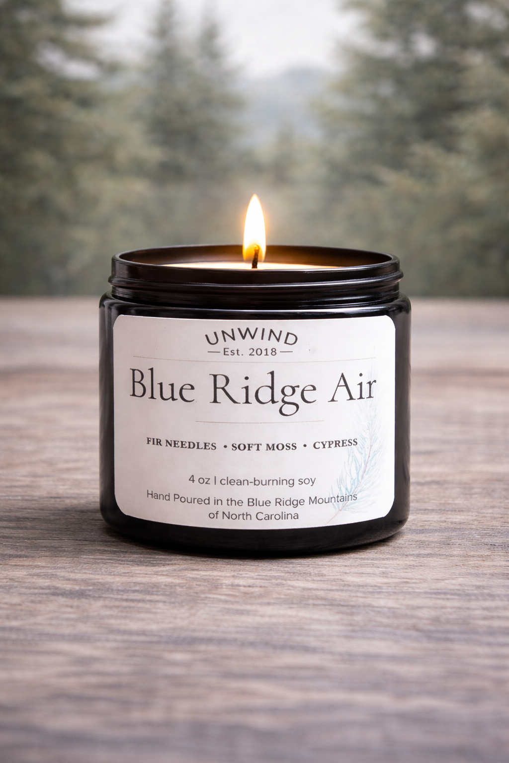 Blue Ridge Air 4-ounce soy wax candle